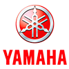 2024 Yamaha YFM110R